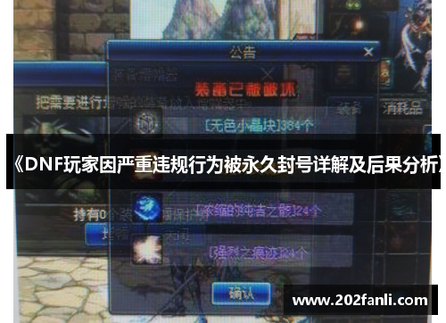 《DNF玩家因严重违规行为被永久封号详解及后果分析》